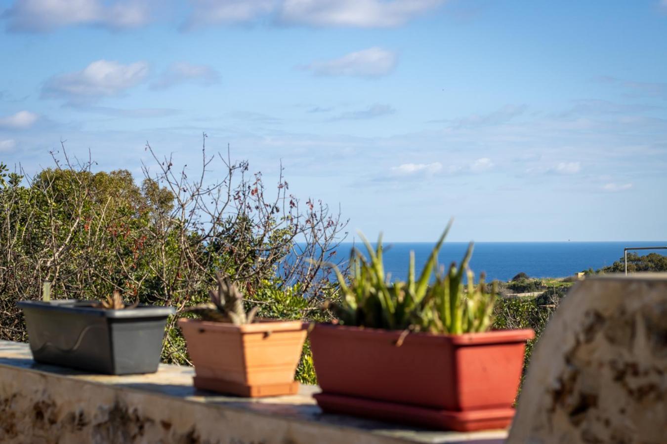 Il Figolla B&B ซากฮรา ภายนอก รูปภาพ