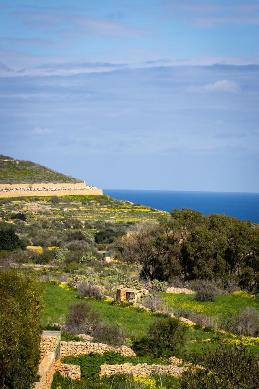 Il Figolla B&B ซากฮรา ภายนอก รูปภาพ